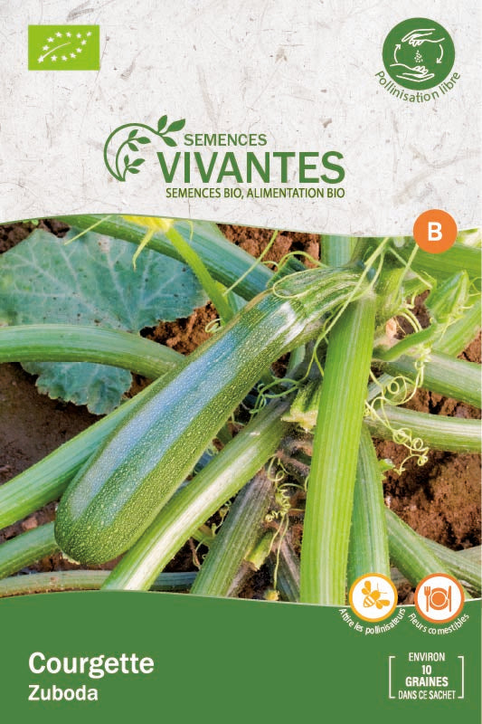 Semences Vivantes -- Courgette Zuboda Bio Demeter - sachet de 10 graines